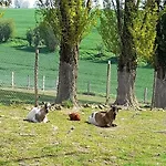 Semesterbostad Avec Vue Imprenable Sur La Campagne *