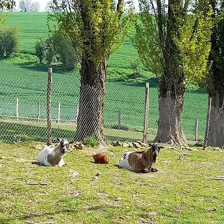 Vakantiehuis Avec Vue Imprenable Sur La Campagne *