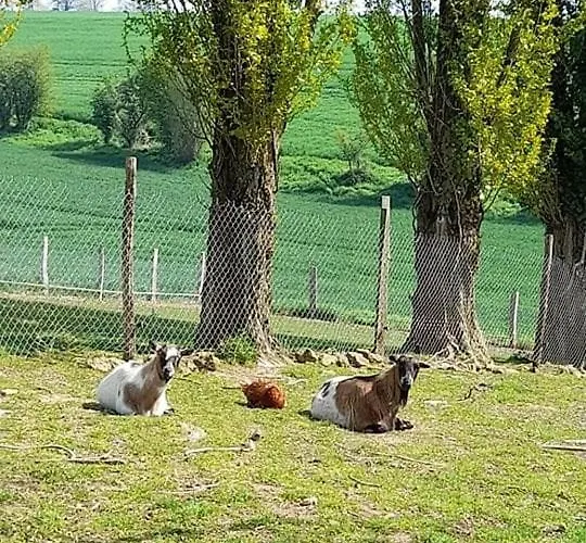 Nyaraló Avec Vue Imprenable Sur La Campagne *
